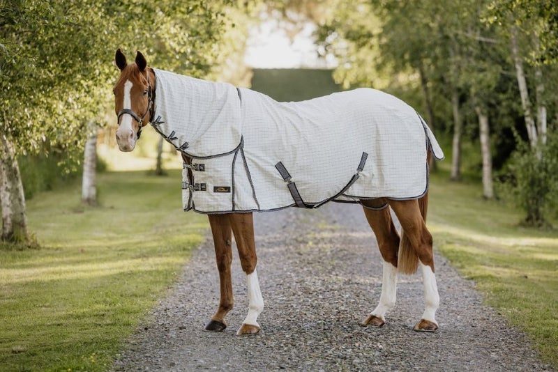 Cavallino Oxford Summer Combo Carousel 1