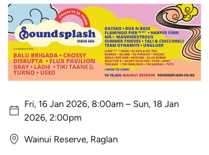 SOUNDSPLASH FESTIVAL TICKET 16-17 YEARS Carousel 1