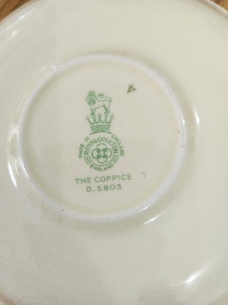 Vintage Royal Doulton "The Coppice" dinnerset 19 pcs Carousel 2