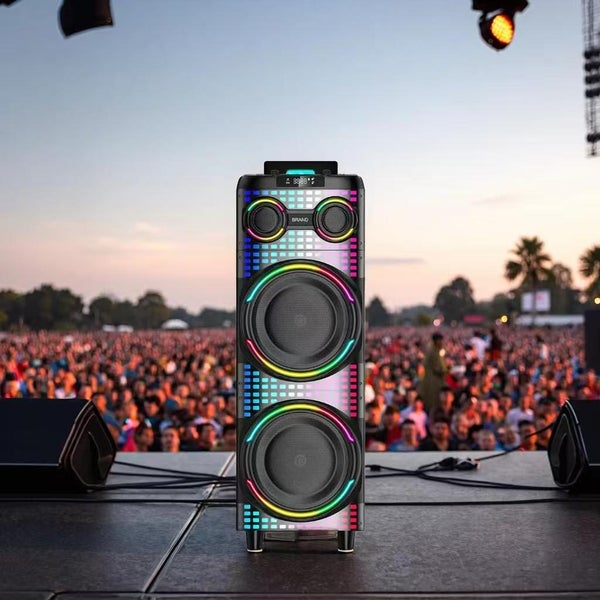 12" Battery Powered/Wireless Party Speakers/Karaoke 120WRMS Carousel 2