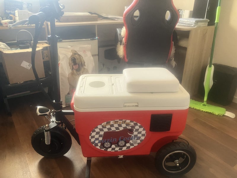 Battery powered ride on cruzin cooler two for sale Carousel 1