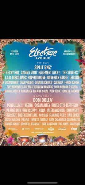 Electric ave GA weekend pass x1 Carousel 1