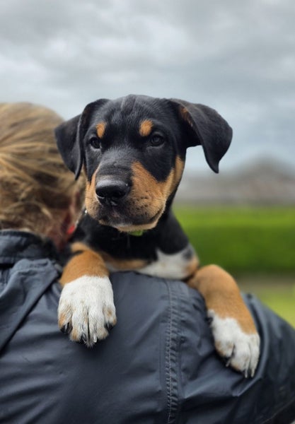 Cub - Chance 4 Change Carousel 2