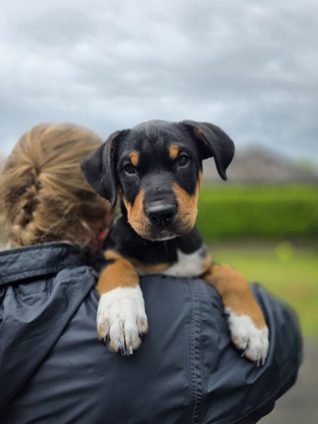 Cub - Chance 4 Change Carousel 3