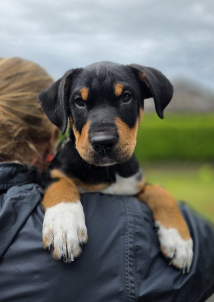 Cub - Chance 4 Change Carousel 1