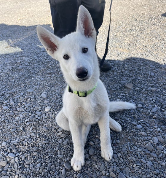 Nico - Chance 4 Change Carousel 1