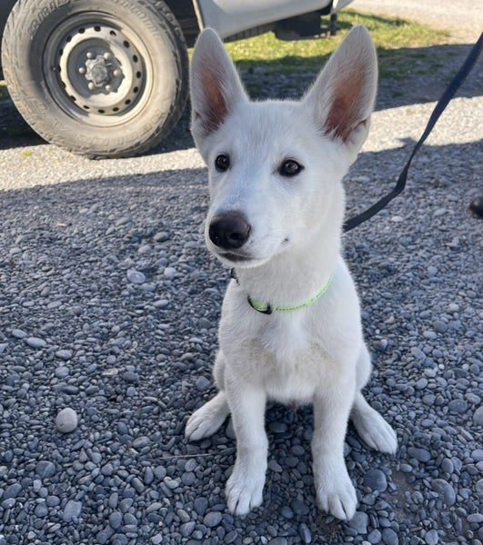 Nico - Chance 4 Change Carousel 2