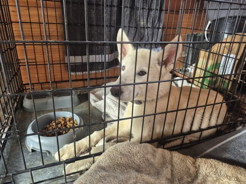 Nico - Chance 4 Change Carousel 10