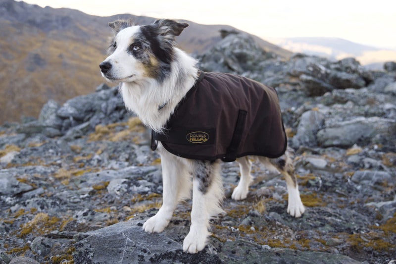 Double Hill Double Hill Oilskin Dog Coat Carousel 1