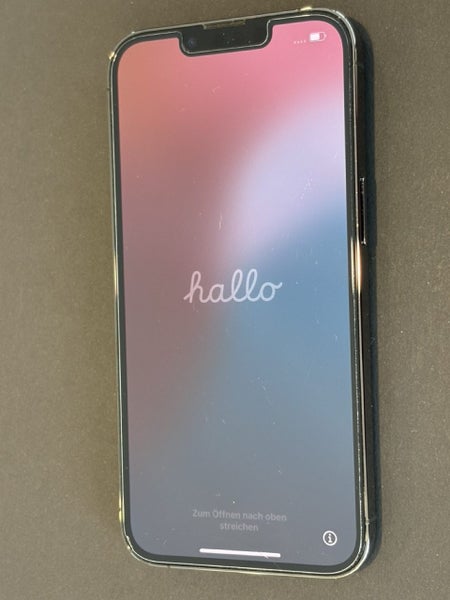 iPhone 13 Pro64871594499457113