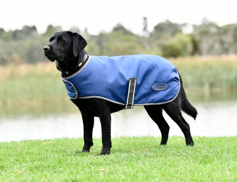 WeatherBeeta Weatherbeeta ComFiTec Windbreaker Free Dog Coat Carousel 2