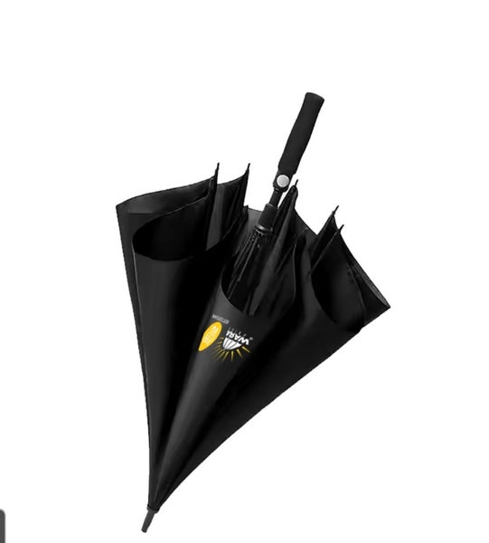 Umbrella64884930347265114