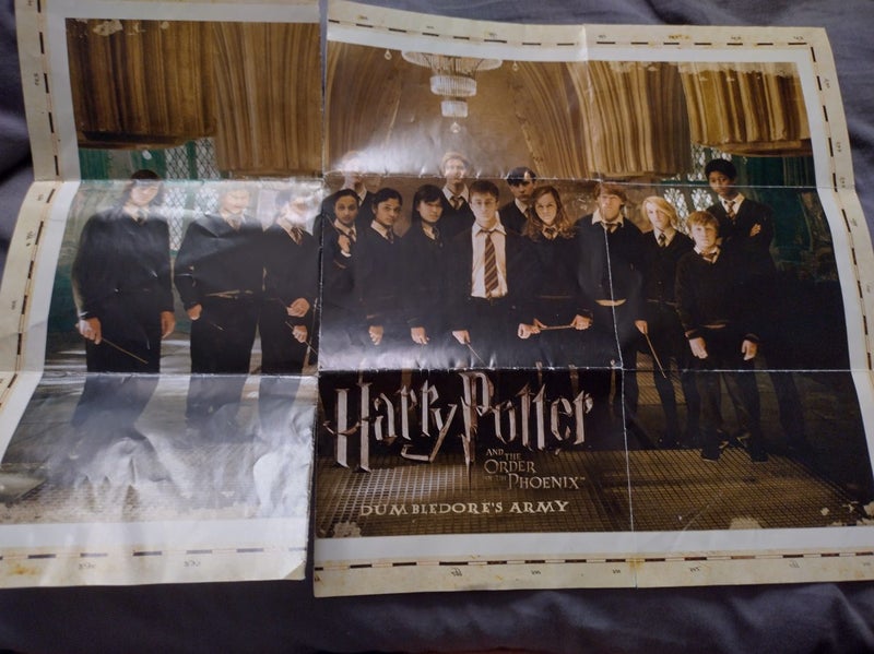Harry Potter and the Order of the Phoenix Carousel 5