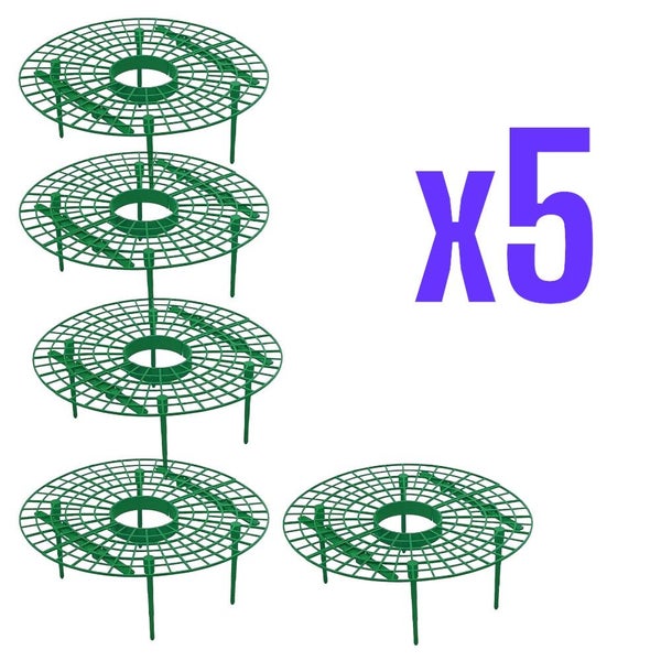 Strawberry Support Frame 5Pack Carousel 1