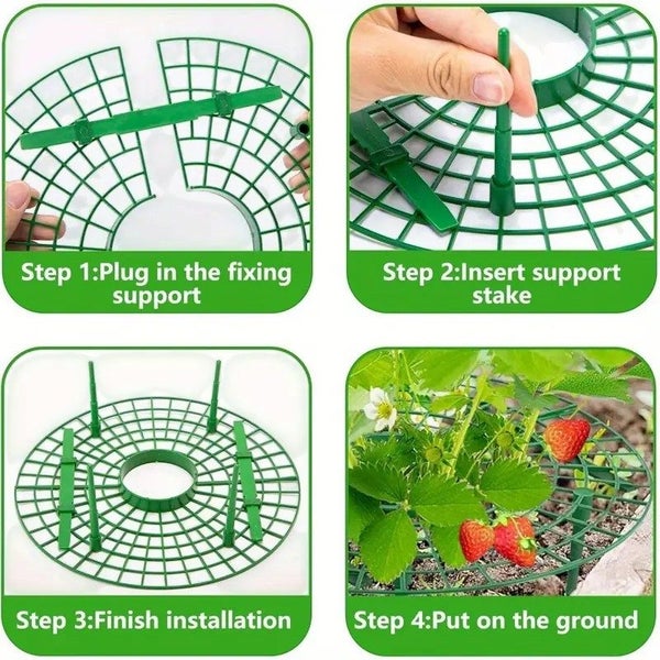 Strawberry Support Frame 5Pack Carousel 2