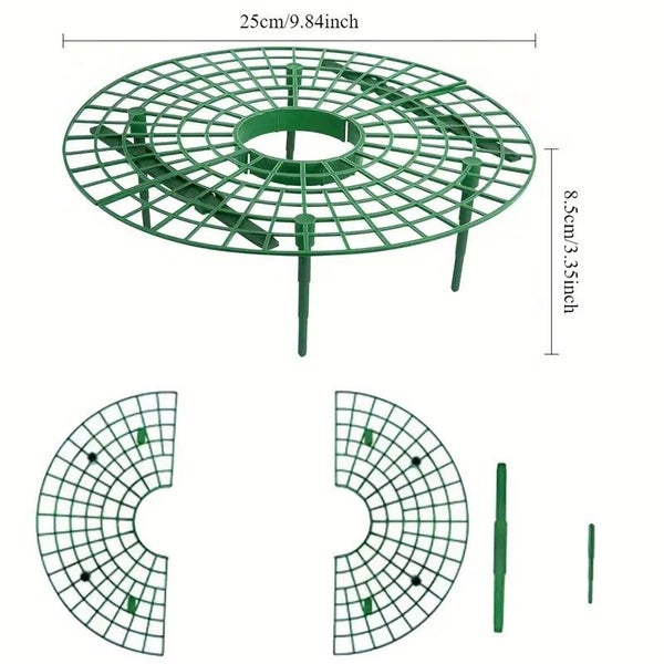Strawberry Support Frame 5Pack Carousel 8