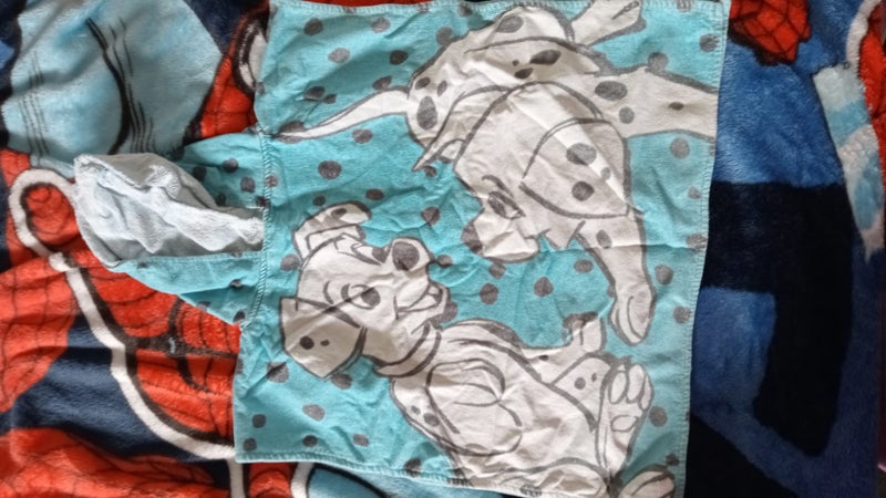 Hooded towel Disney dalmatians Carousel 1