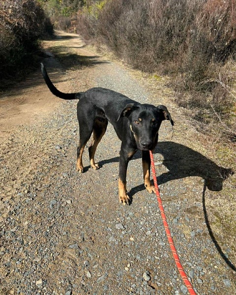 Cyber - Chance 4 Change Carousel 1