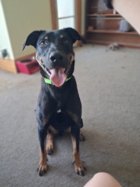 Cyber - Chance 4 Change Carousel 5