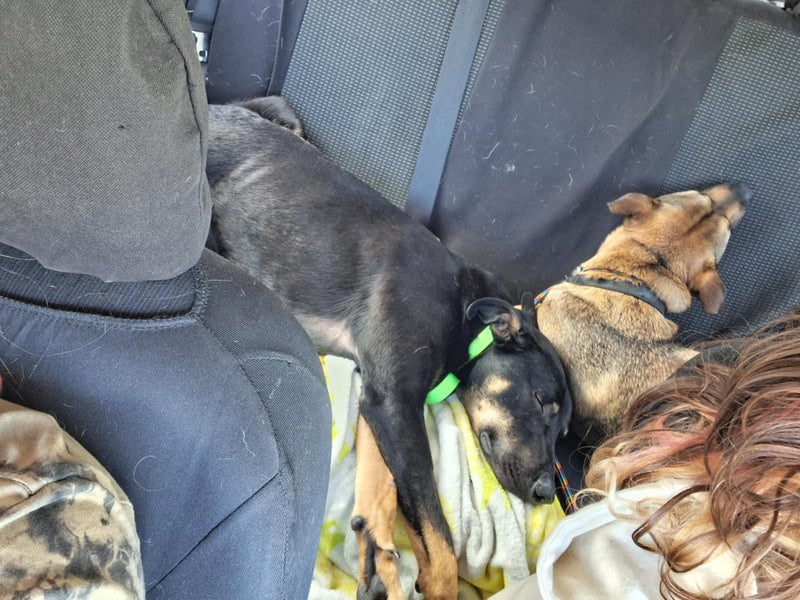 Cyber - Chance 4 Change Carousel 2