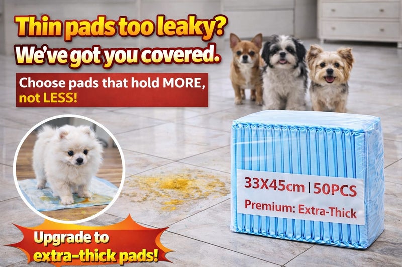 PTN NEW Puppy Training Pads Sale Sale Sale Carousel 1
