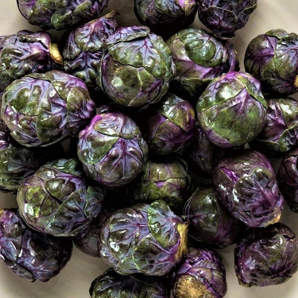 Brussels Sprouts Magenta :Reddish, Healthy veg! Prolific/Nice flavour! 50 seeds Carousel 2