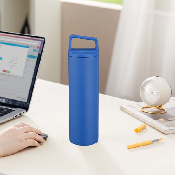 Insulated Stainless Steel Water Bottle, Wide Mouth Double Wall Vacuum, Leak Carousel 6