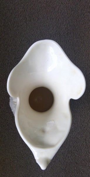 Small pitcher Carousel 5