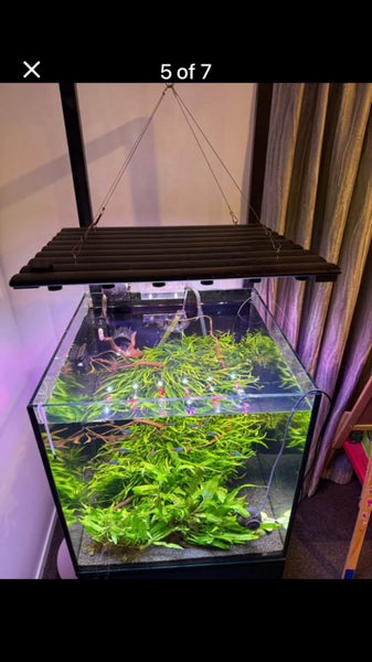 Aqua One 170 cube Carousel 2