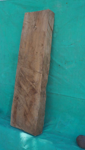 Swamp kauri slab Carousel 2