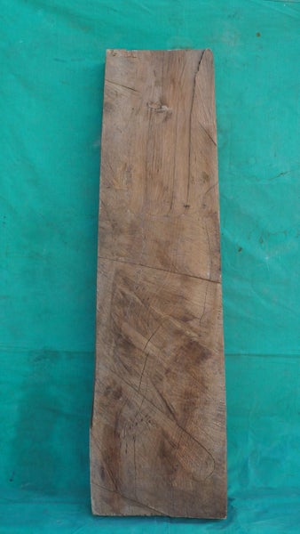 Swamp kauri slab Carousel 5