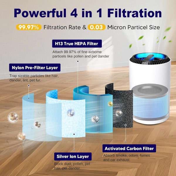MK01 & MK06 True HEPA Filter Replacement Compatible with Aroeve MK01, MK06, Carousel 2