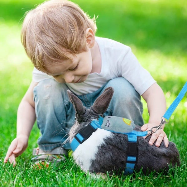 4 Set Adjustable Bunny Rabbit Harness and Leash Set for Ferret and Small Pe Carousel 8