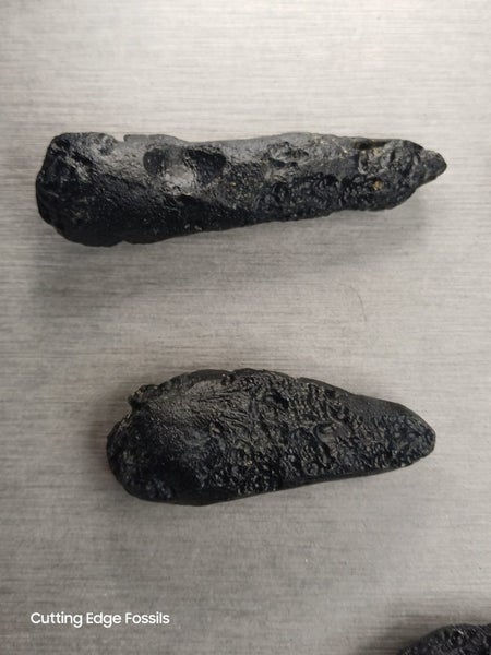 Tektite - Australasian Strewnfield specimens Carousel 2