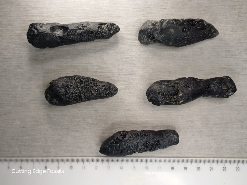 Tektite - Australasian Strewnfield specimens Carousel 1