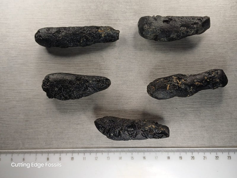 Tektite - Australasian Strewnfield specimens Carousel 5