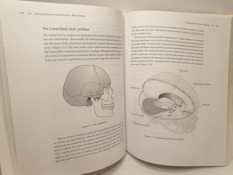 Foundations in Craniosacral Biodynamics Volume One Carousel 19
