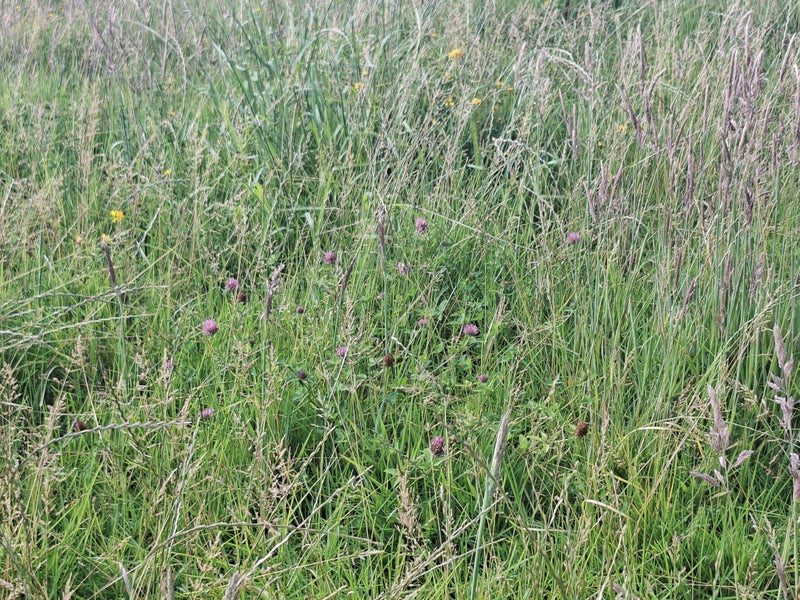 Silage Bales Carousel 2
