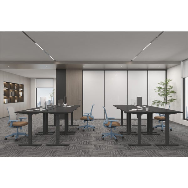 FlexiSpot E2 Pro Essential Standing Desk - 1400x700x25mm - Black Desktop/Black Carousel 9