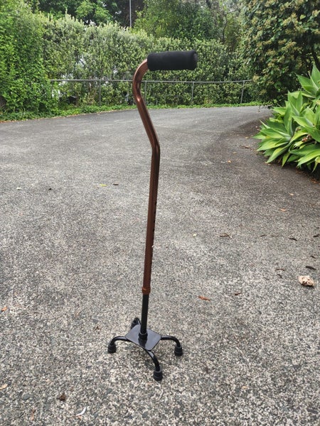 Walking stick with quad base Carousel 1