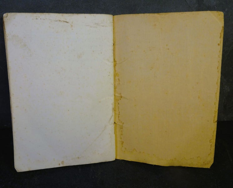 Tennyson's MORTE D’ARTHUR & THE LADY OF SHALOTT Carousel 4