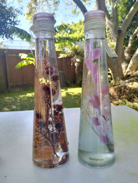 Herbarium Carousel 2