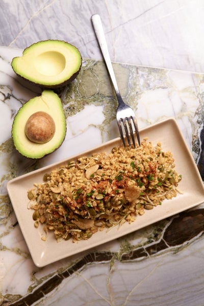 King Of Snake Carousel 1