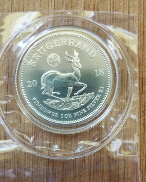 Krugerrand 1 oz Silver Bullion 2018 Great Wall Privy Carousel 1