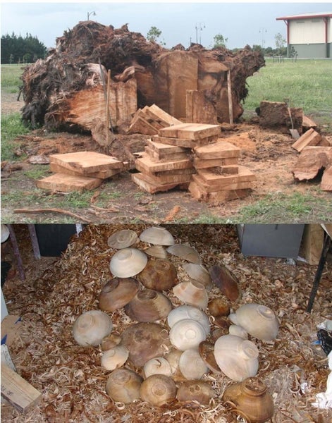 log Shield end grain sealer 2.L Carousel 1