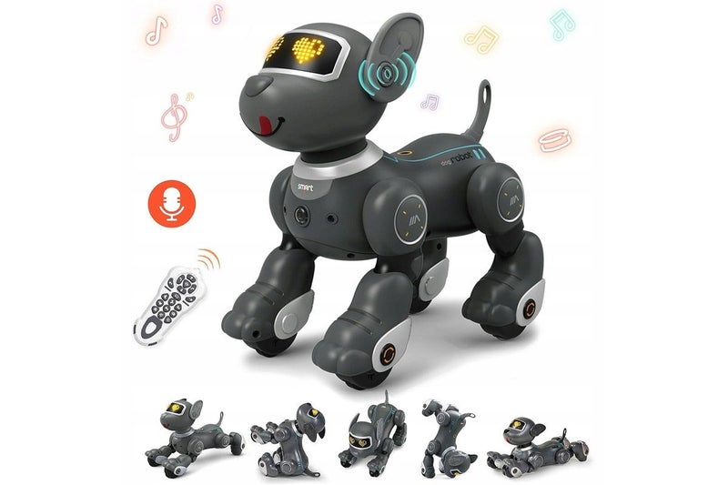 Kids Interactive Robot Dog Carousel 2