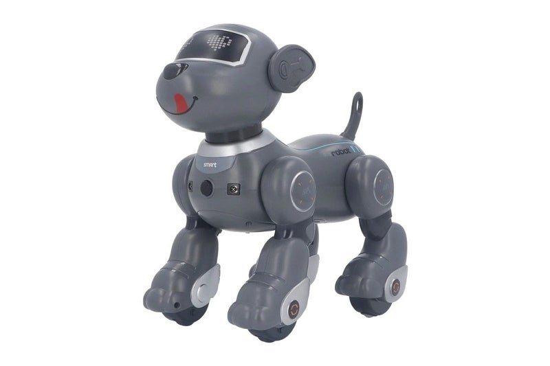 Kids Interactive Robot Dog Carousel 5