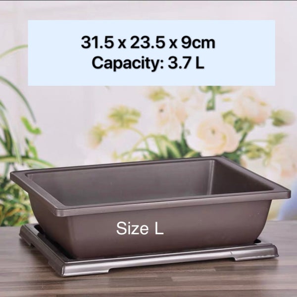 PP Bonsai Pot- Size L with Saucer Carousel 1