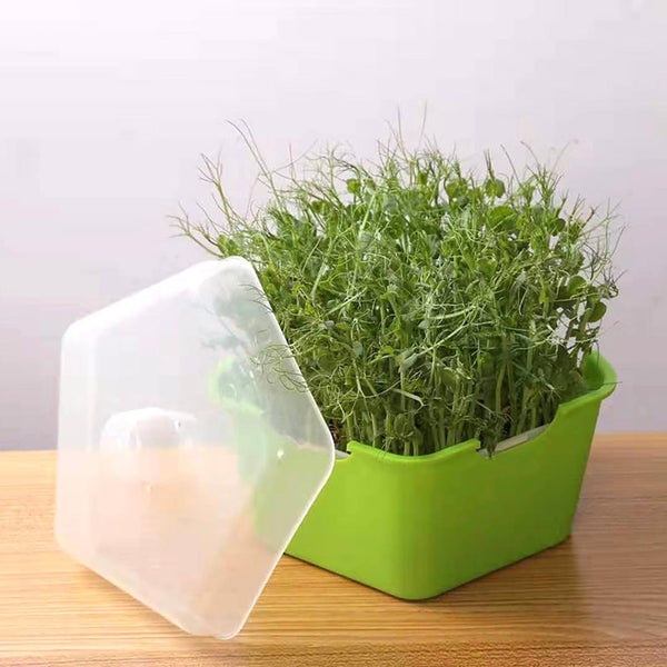 Sprout Tray Growing Planter Sprout Box Permanent Hydroponics Germinati Yellow Carousel 1