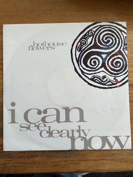 Hothouse Flowers “I Can See Clearly Now” UK 12” Single . Carousel 1
